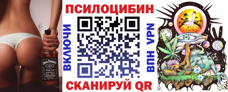 Псилоцибиновые грибы Psilocybine cubensis  Минусинск 