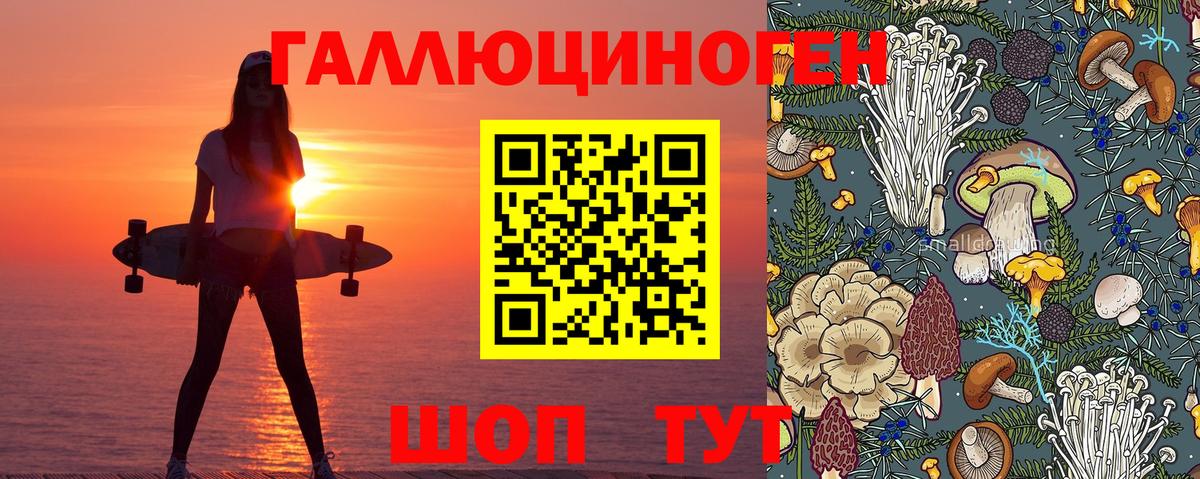 Галлюциногенные грибы мицелий Минусинск