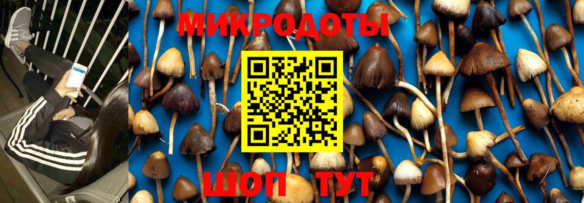 Галлюциногенные грибы MAGIC MUSHROOMS  Вход с VPN  Минусинск 
